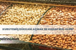 kuruyemiş dükkanı açmak ne kadara mal olur